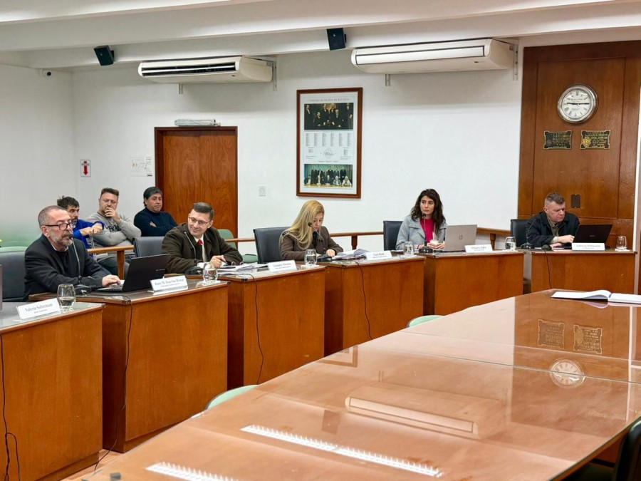 Lisandro M&aacute;rsico impuls&oacute; el proyecto de ordenanza que pone a los taxis en igualdad de condiciones con remises y veh&iacute;culos de aplicaciones de viajes para prestar servicios en a ciudad. (FOTO PRENSA CONCEJO)