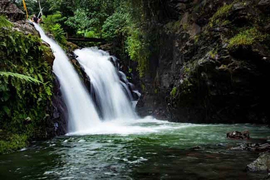 En los tr&oacute;picos existe el 54% del agua potable del planeta.
