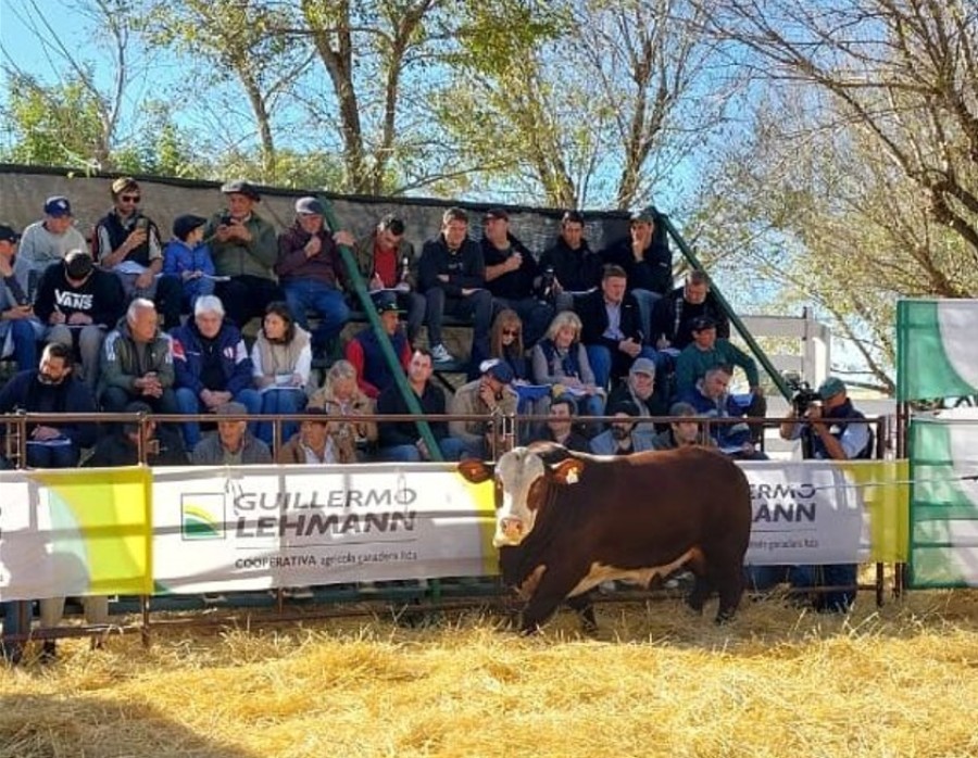 La jornada marc&oacute; el inicio del&nbsp;calendario de remates Raza Carne 2026 de la Cooperativa Guillermo Lehmann.