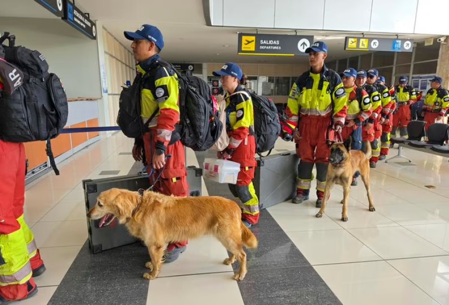 La importancia de los perros rescatistas.