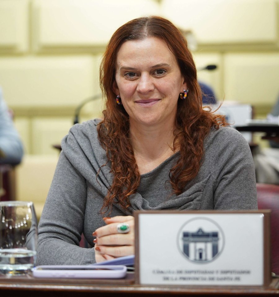 Masutti resalt&oacute; el consenso legislativo para avanzar en una Ley de Educaci&oacute;n provincial.