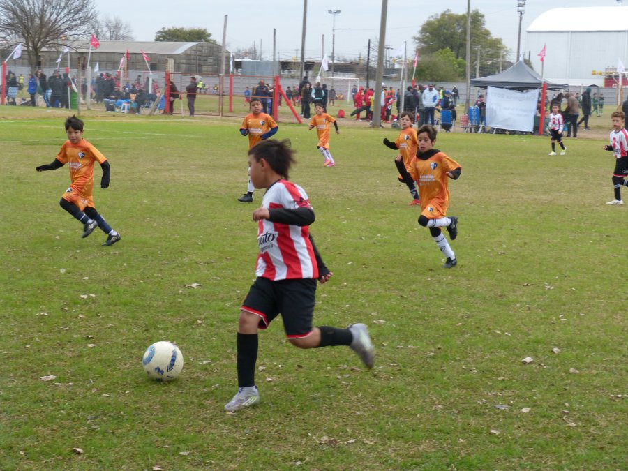 Los peques se divierten en el predio Luis Fasoli.