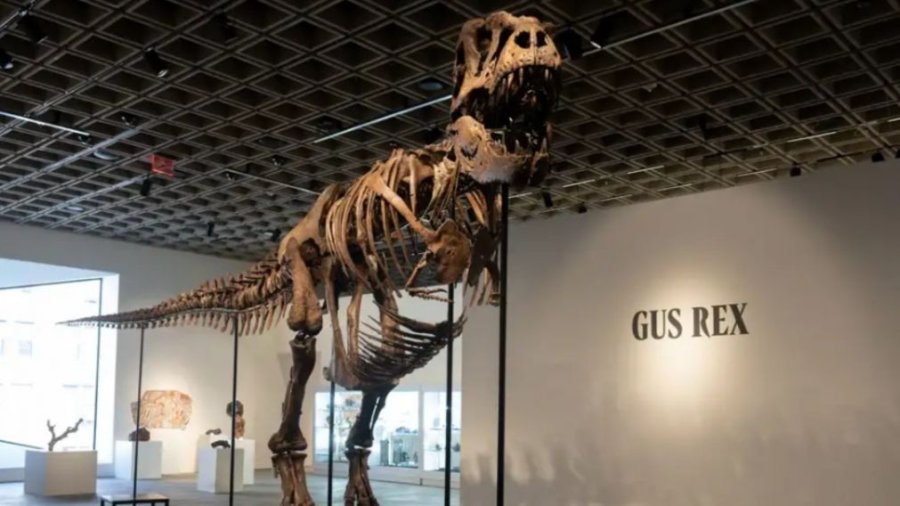 RECORD MUNDIAL. El f&oacute;sil del gigantesco dinosaurio fue vendido en Nueva York en apenas diez minutos.