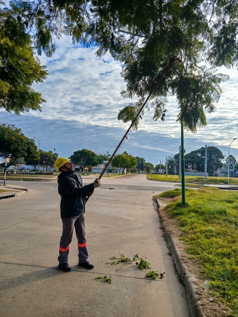 El programa contempla intervenir diferentes sectores de la ciudad durante esta temporada.