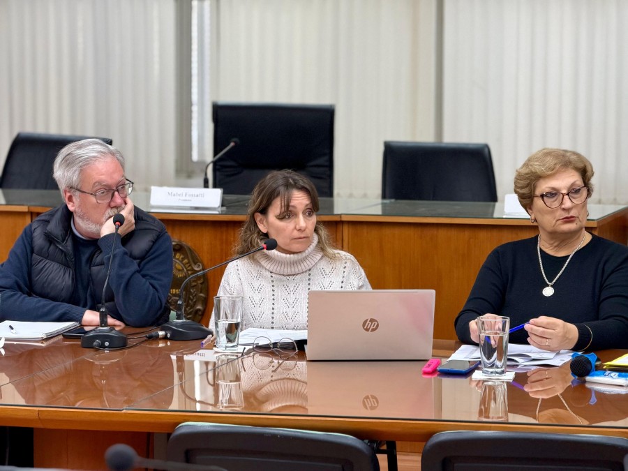 Marcelo Barbero, Silvina Bravino y la presidenta del Concejo, Mabel Fossatti.