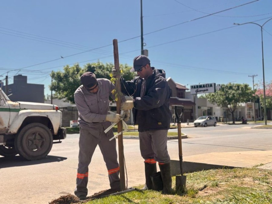 Los trabajos se desarrollar&aacute;n durante los pr&oacute;ximos meses.